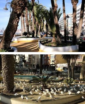 Parque Elche Parque Elche