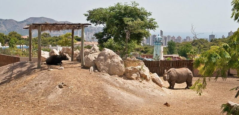 Terra Natura Zoo Benidorm