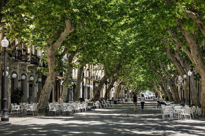 Dénia Main Street — Marqués de Campo