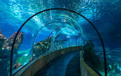 Barcelona Aquarium - one of the largest aquariums in the Mediterranean region