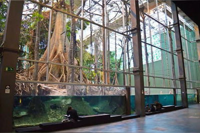 CosmoCaixa — science museum with living ecosystems