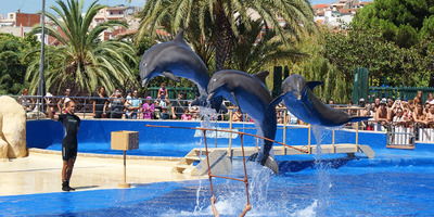 Marineland Catalunya — marine park, water park, and family shows