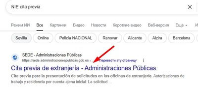 Búsqueda del servicio oficial Cita Previa de Extranjería para solicitar el NIE