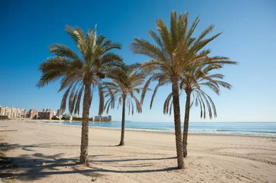 Climate and beaches in Spain Climate and beaches in Spain — advantages of living in the country