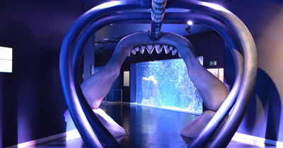 Atlantis Aquarium Madrid - аквариум в Мадриде