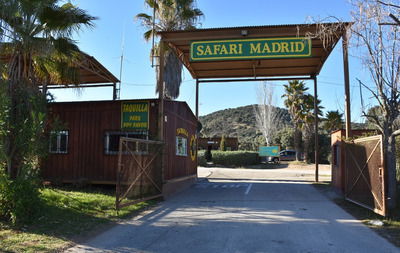 Сафари-парк в Мадриде