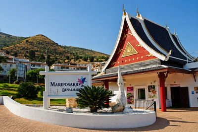 Mariposario Butterfly Park in Benalmádena — tropical garden with exotic butterflies