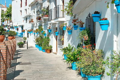 Что посмотреть в Михасе