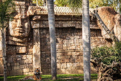 Bioparc Fuengirola современный зоопарк