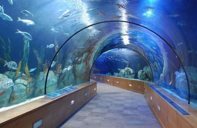 Aquarium Sevilla Океанариум Aquarium Sevilla в Севилье