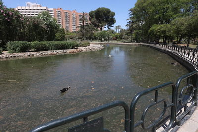 Parque de los Príncipes Parque de los Príncipes в Севилье