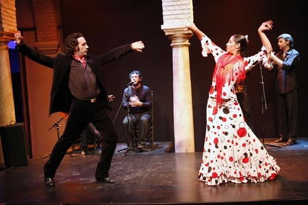 Museo del Baile Flamenco — фламенко и музей