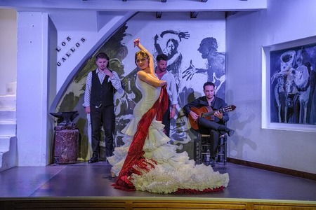 Tablaos в историческом центре - Tablao Flamenco Los Gallos