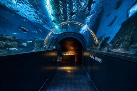 Oceanario в Аквариуме Севильи