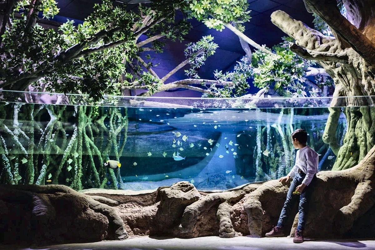 Аквариум Севильи (Acuario de Sevilla)