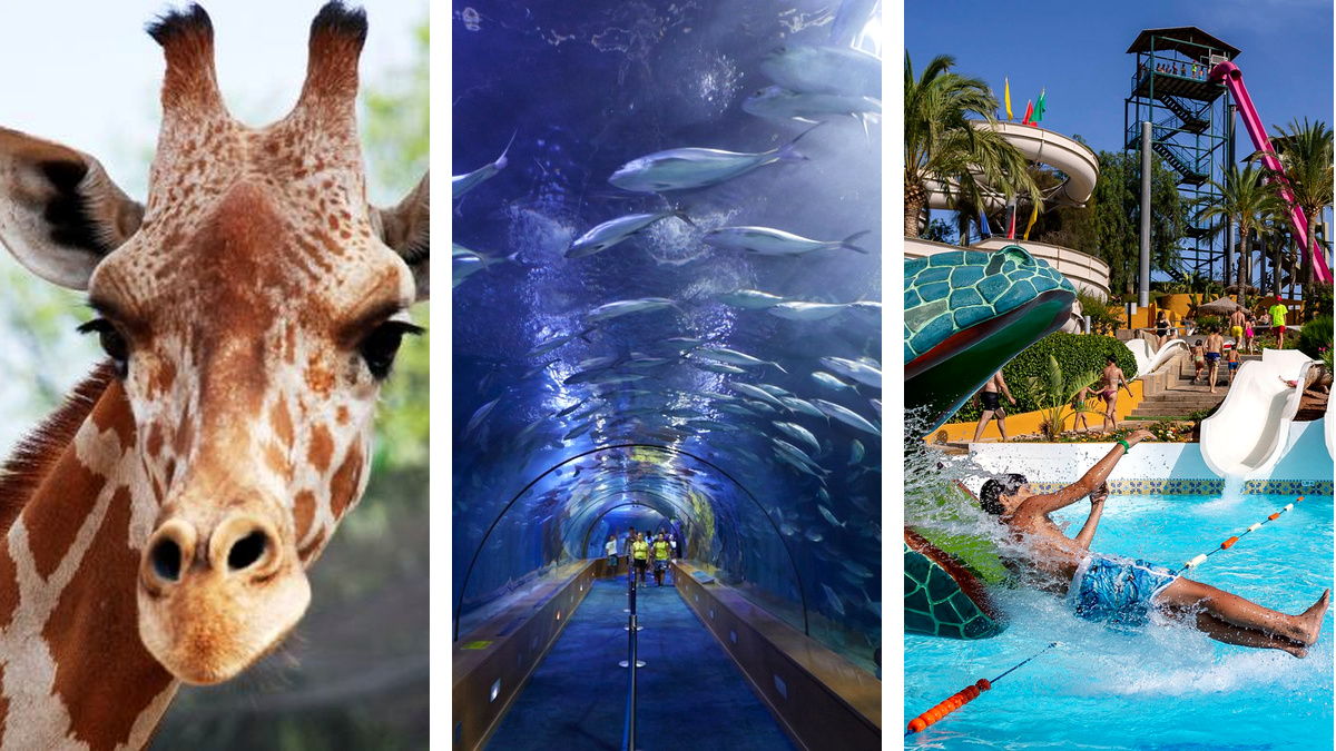 Парки и развлечения в Валенсии для детей